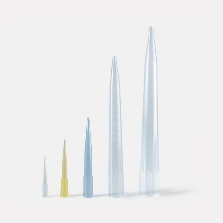 Pipet Ucu - Şeffaf - 10 µl (1000 Adet)