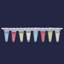 Qpcr Şeridi - Şeffaf -...