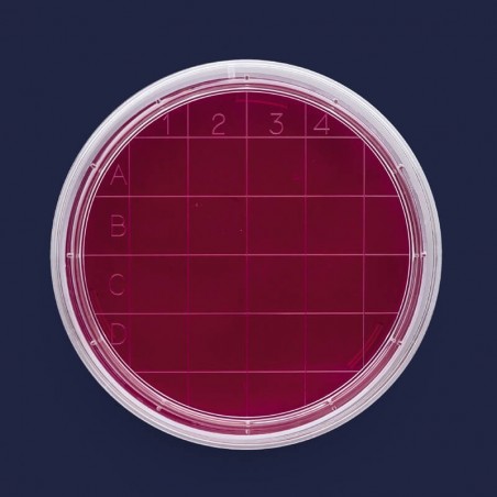 Petri Kutusu Rodak - 60 mm - Steril A (500 Adet)