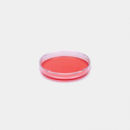 Petri Kutusu - Hücre Kültürü İçin - 60 mm Çap (600 Adet)